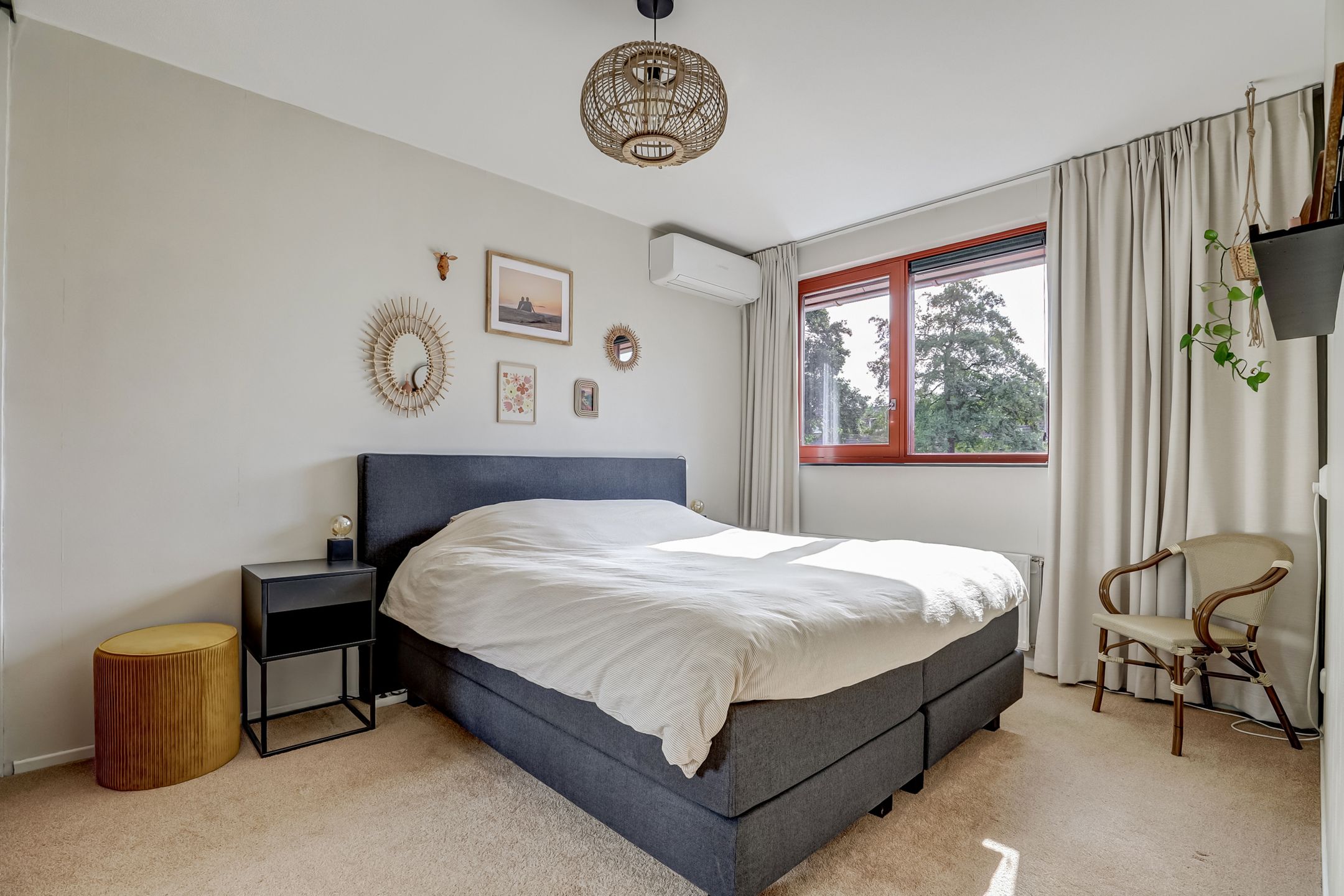 Foto 18 van Fonteinkruid 50