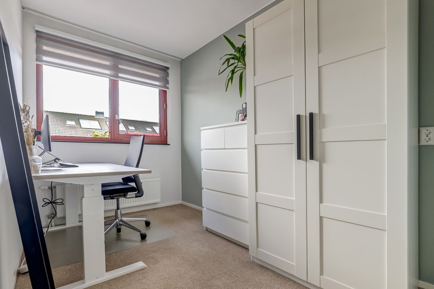 Foto 20 van Fonteinkruid 50