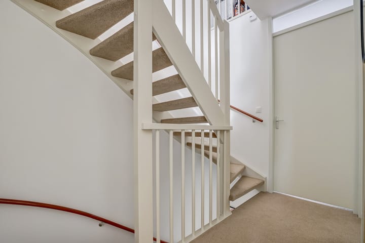 Foto 25 van Fonteinkruid 50