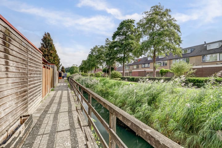 Foto 28 van Fonteinkruid 50