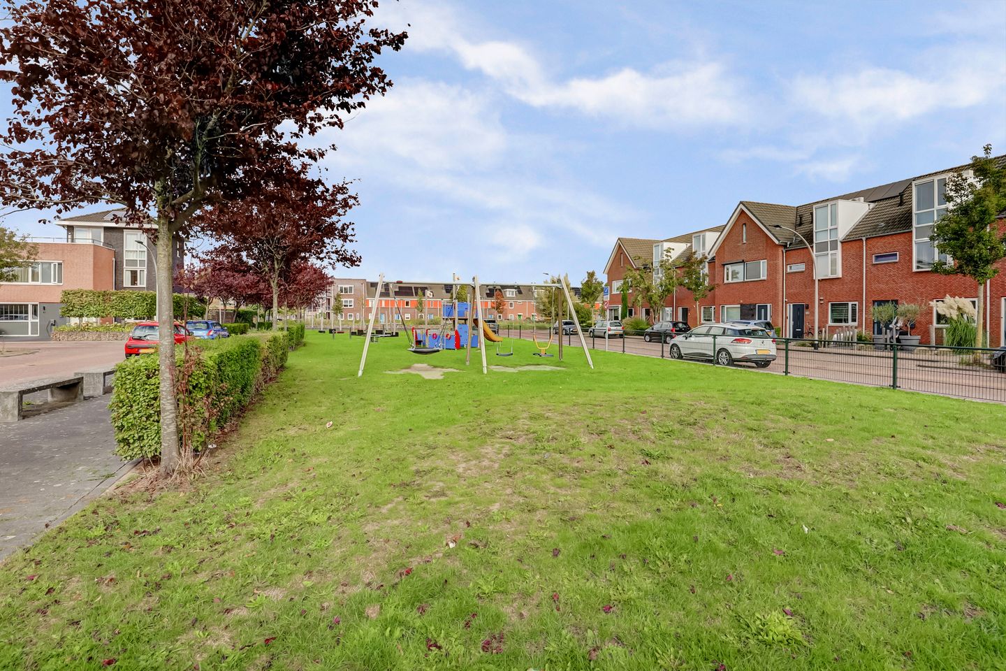 Foto 35 van Fonteinkruid 50