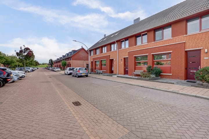 Foto 36 van Fonteinkruid 50