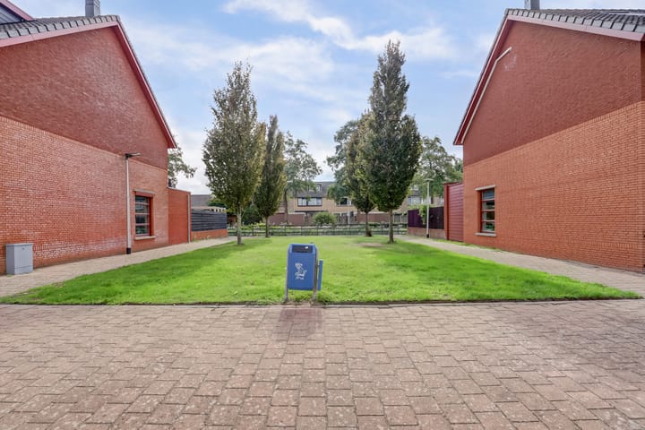 Foto 37 van Fonteinkruid 50