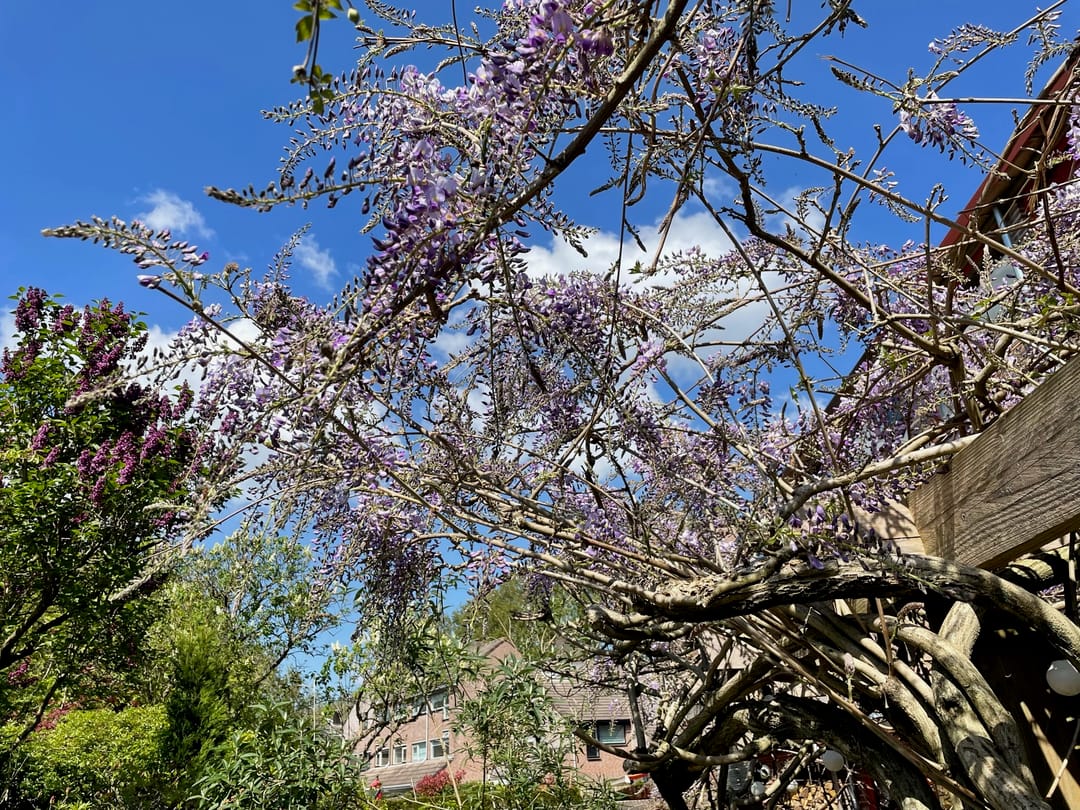 Photo 38 of Wim Sonneveldlaan 211