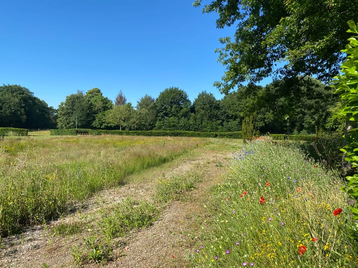 Photo 9 of Rijksstraatweg