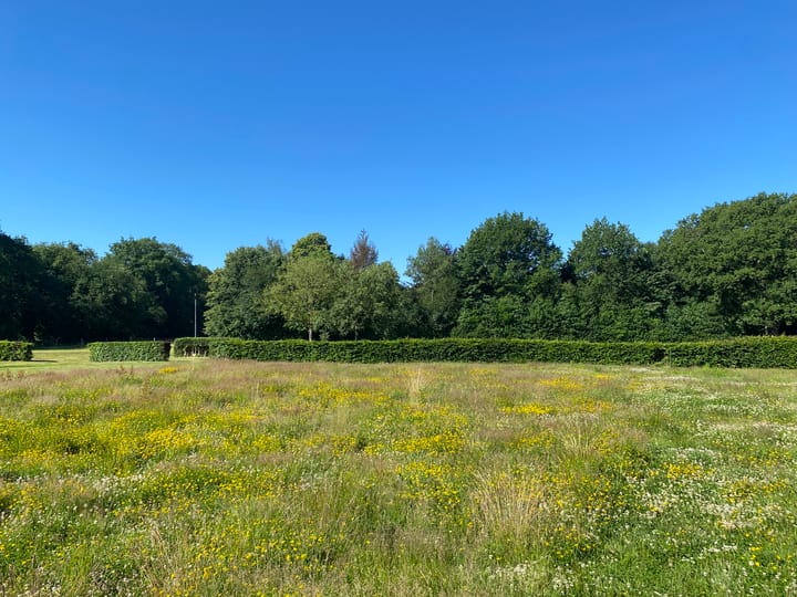 Photo 12 of Rijksstraatweg