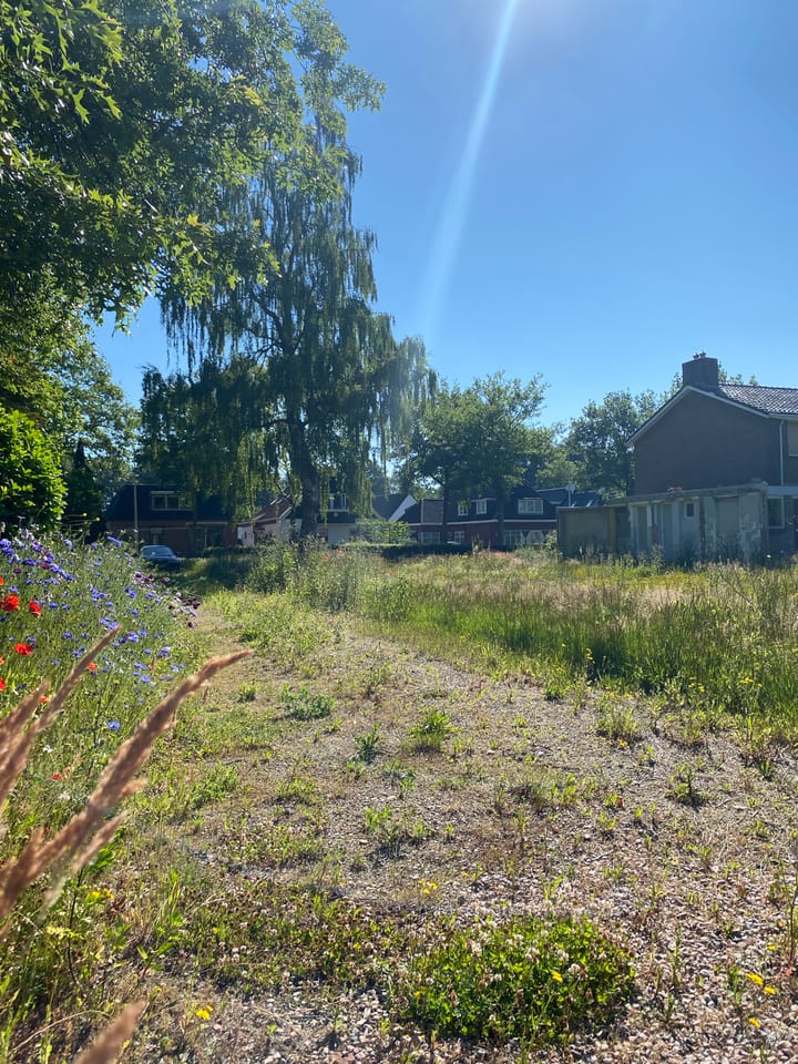 Photo 13 of Rijksstraatweg