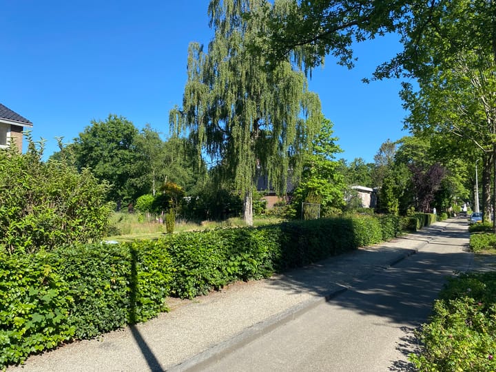 Photo 15 of Rijksstraatweg