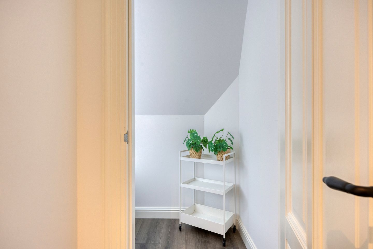 Foto 55 van Noord Zijperweg 53