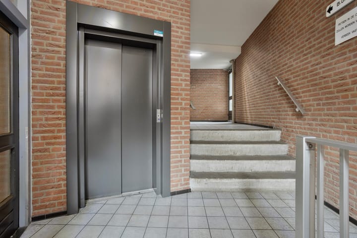 Photo 5 of De Gouden Leeuw 91