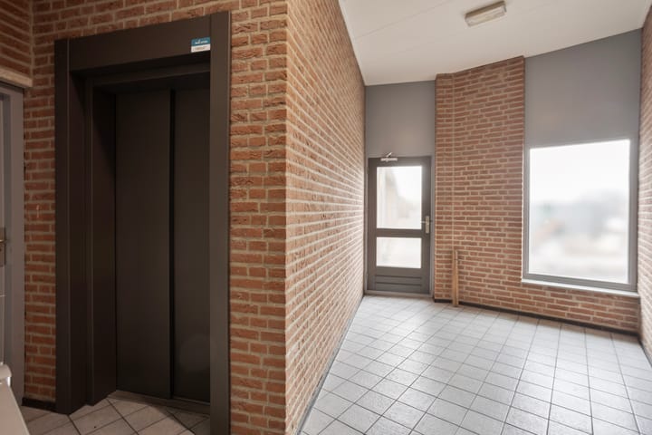 Photo 7 of De Gouden Leeuw 91