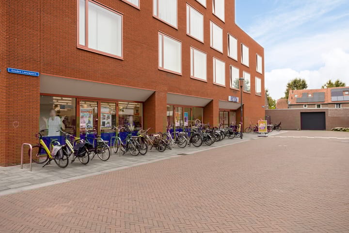 Photo 31 of De Gouden Leeuw 91