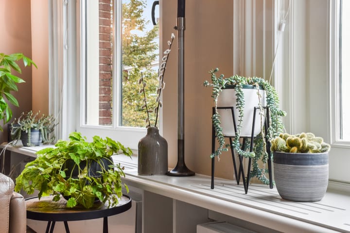 Foto 6 van Kleine Houtweg 14-A