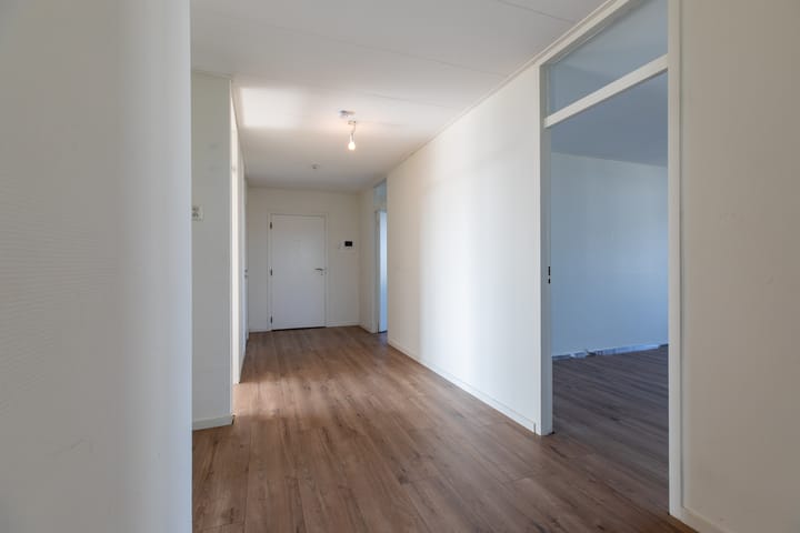 Photo 17 of Apollolaan 116