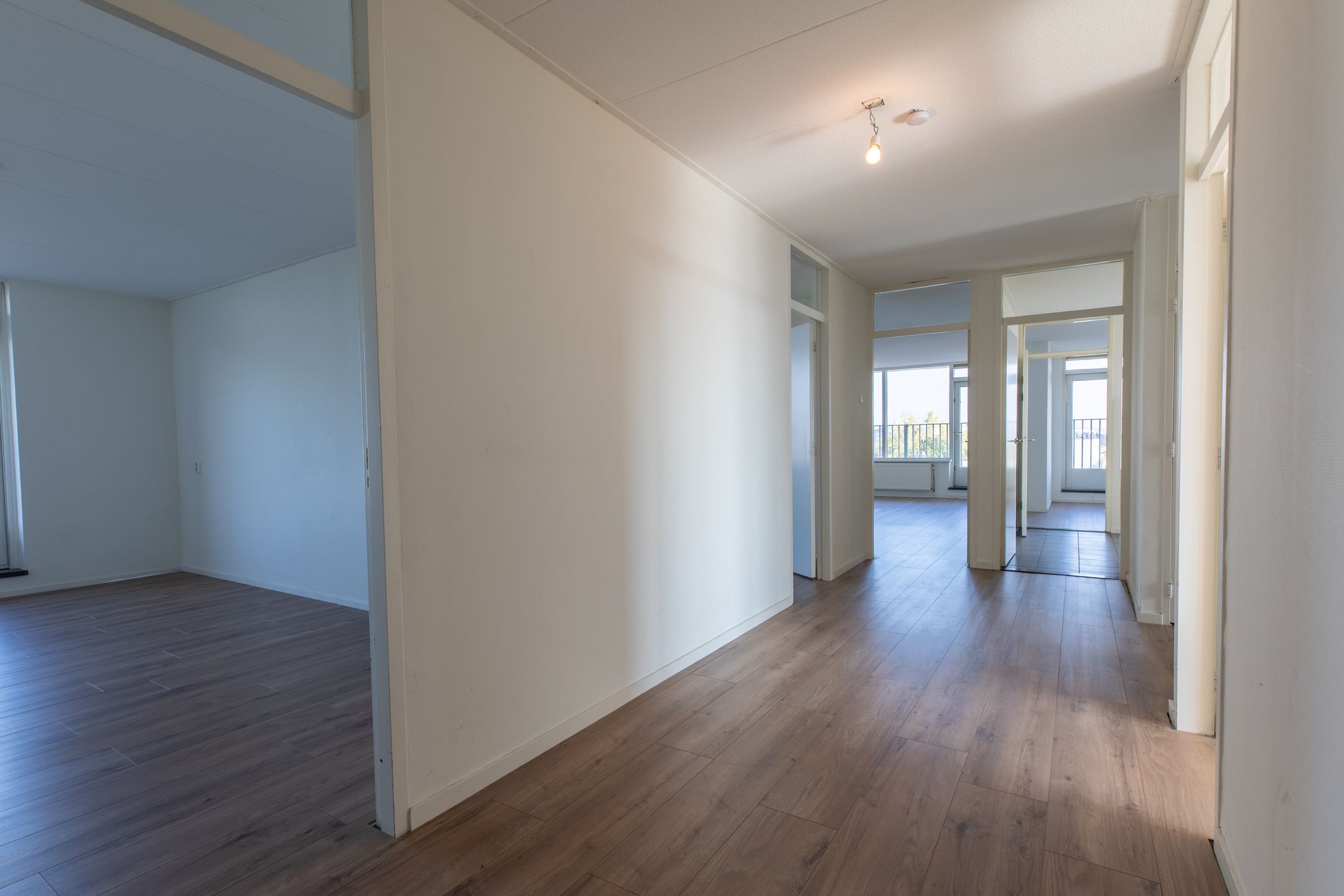 Foto 18 van Apollolaan 116