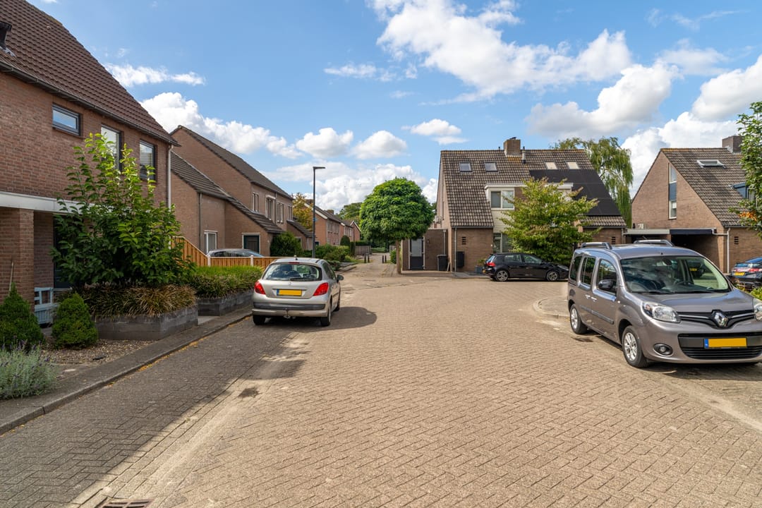 Foto 11 van Goudplevier 38