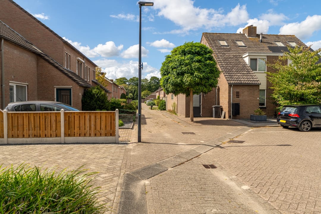 Foto 13 van Goudplevier 38