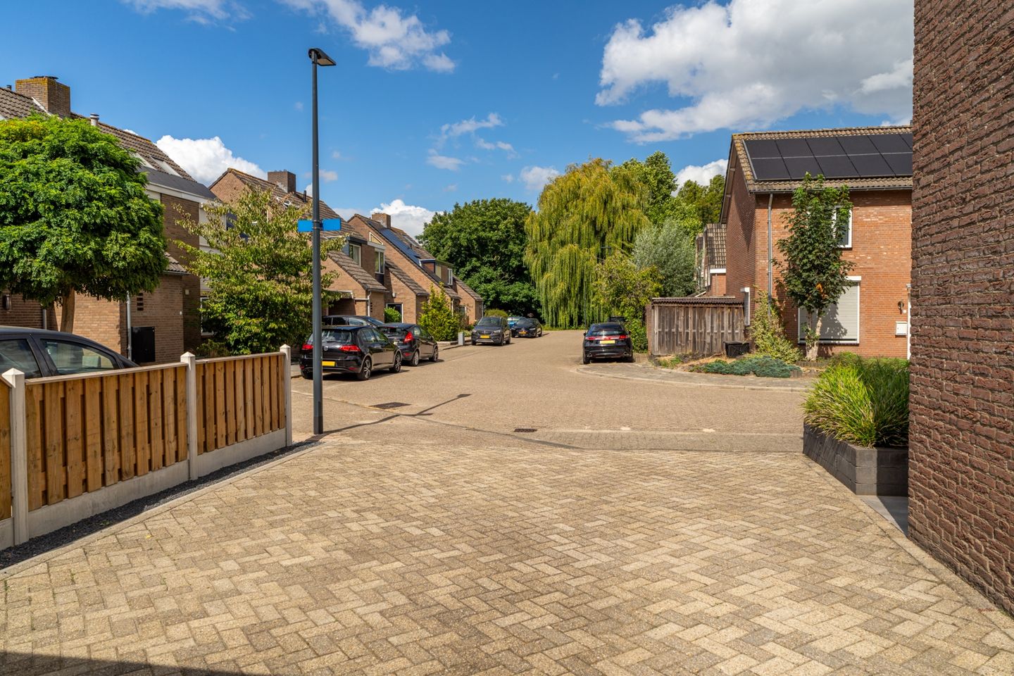 Foto 14 van Goudplevier 38