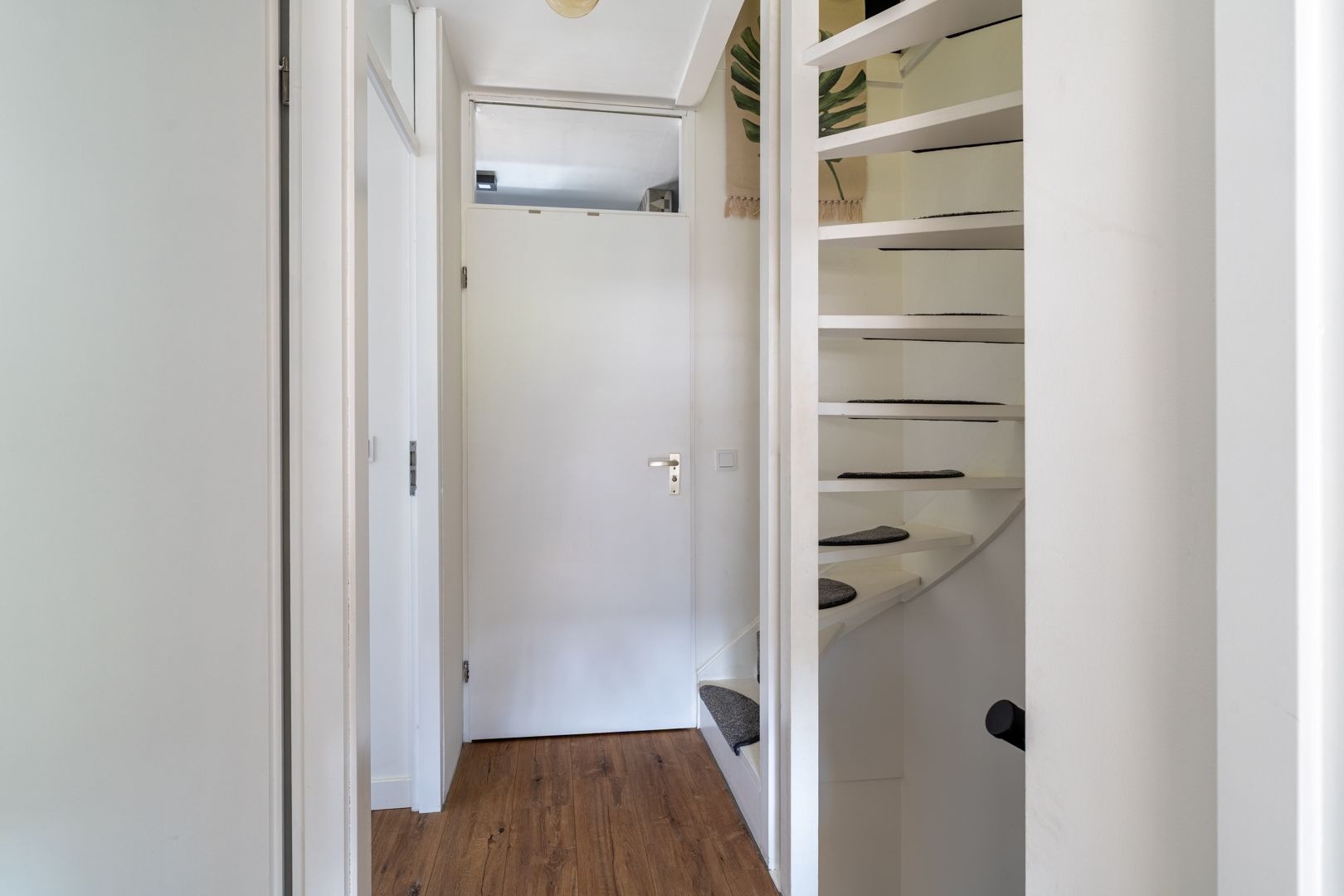 Foto 24 van Goudplevier 38