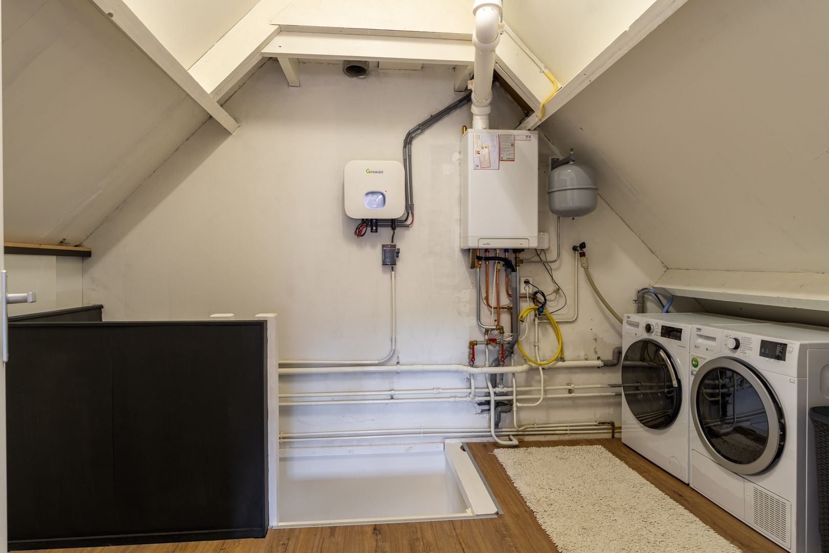 Foto 33 van Goudplevier 38