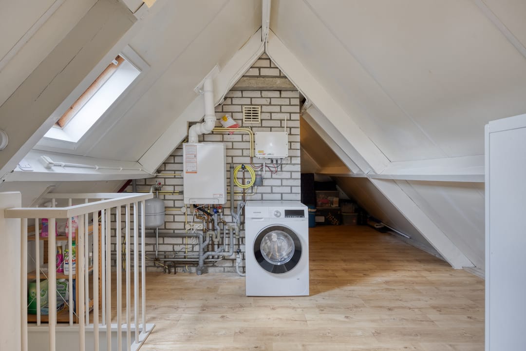 Photo 31 of Saffier 6