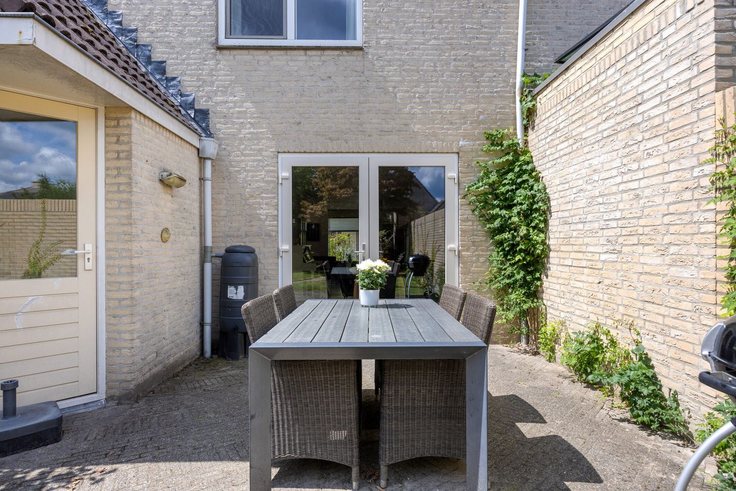 Photo 34 of Saffier 6