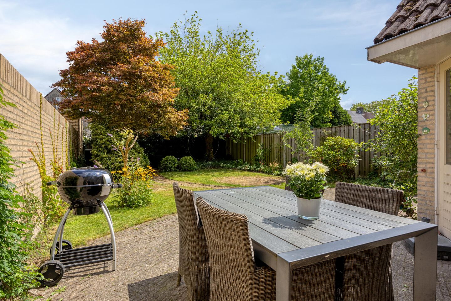 Photo 35 of Saffier 6