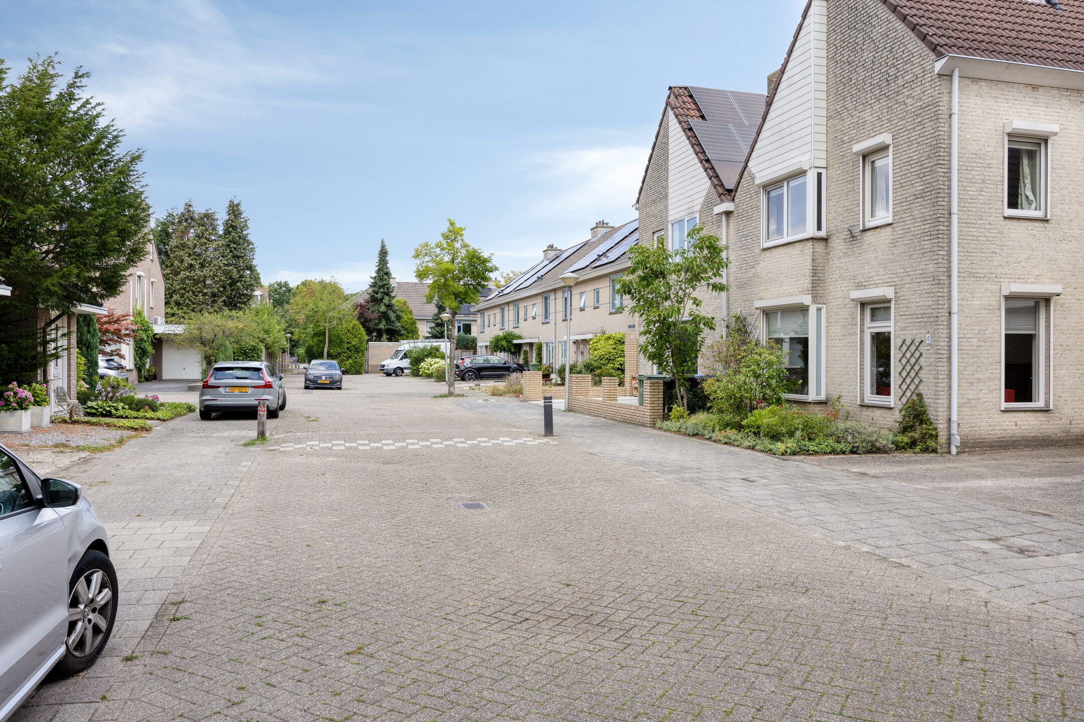 Photo 39 of Saffier 6