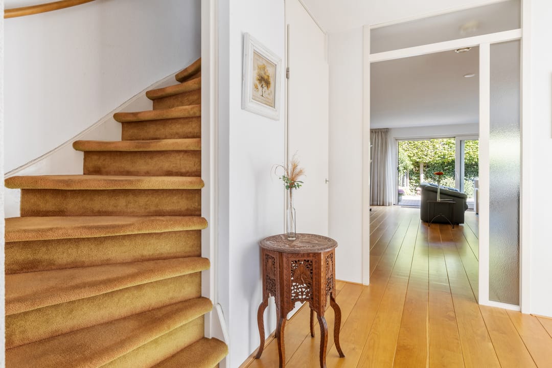 Photo 16 of Thomas Moresingel 11