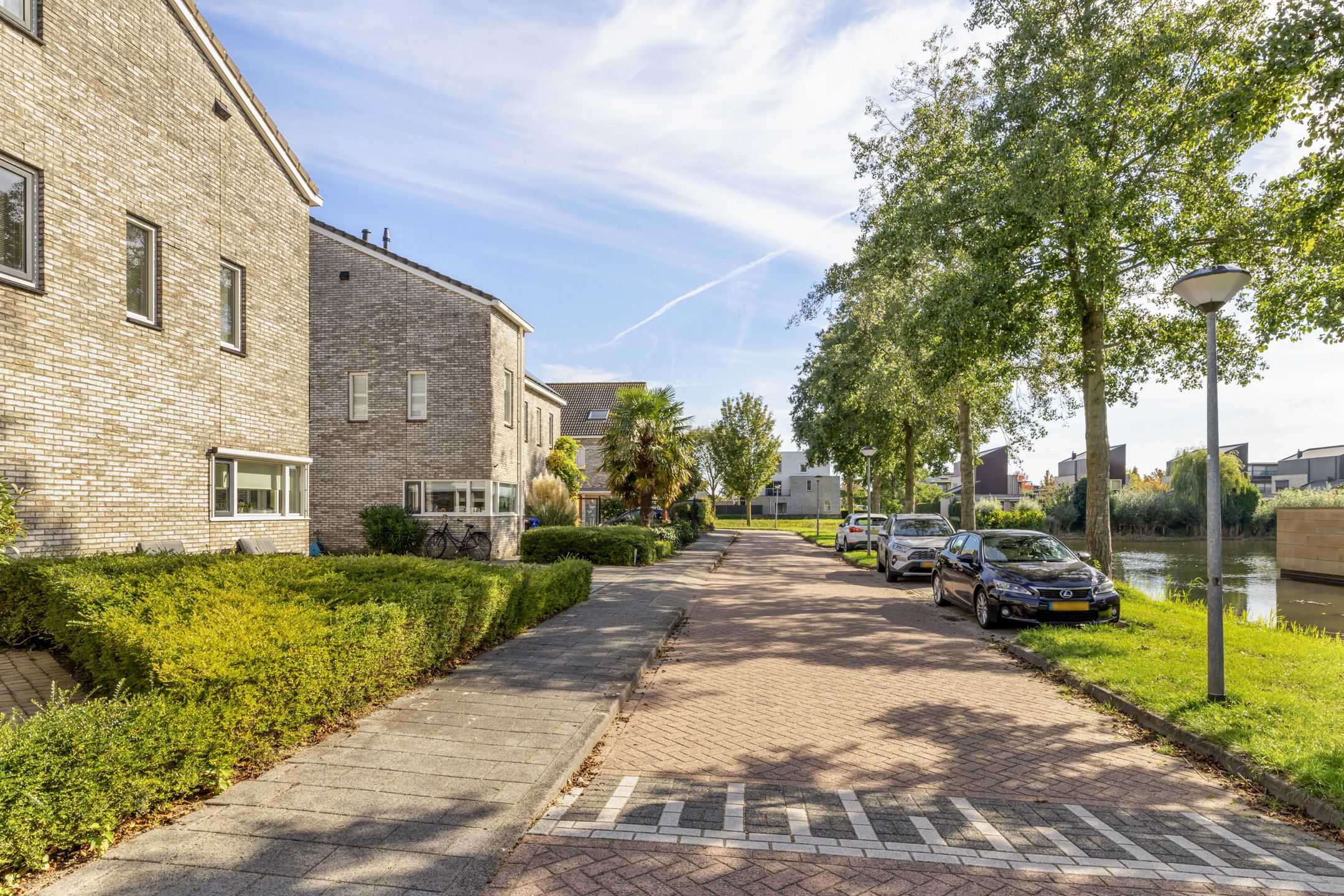 Photo 33 of Thomas Moresingel 11