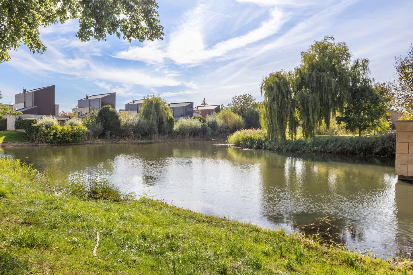 Photo 34 of Thomas Moresingel 11