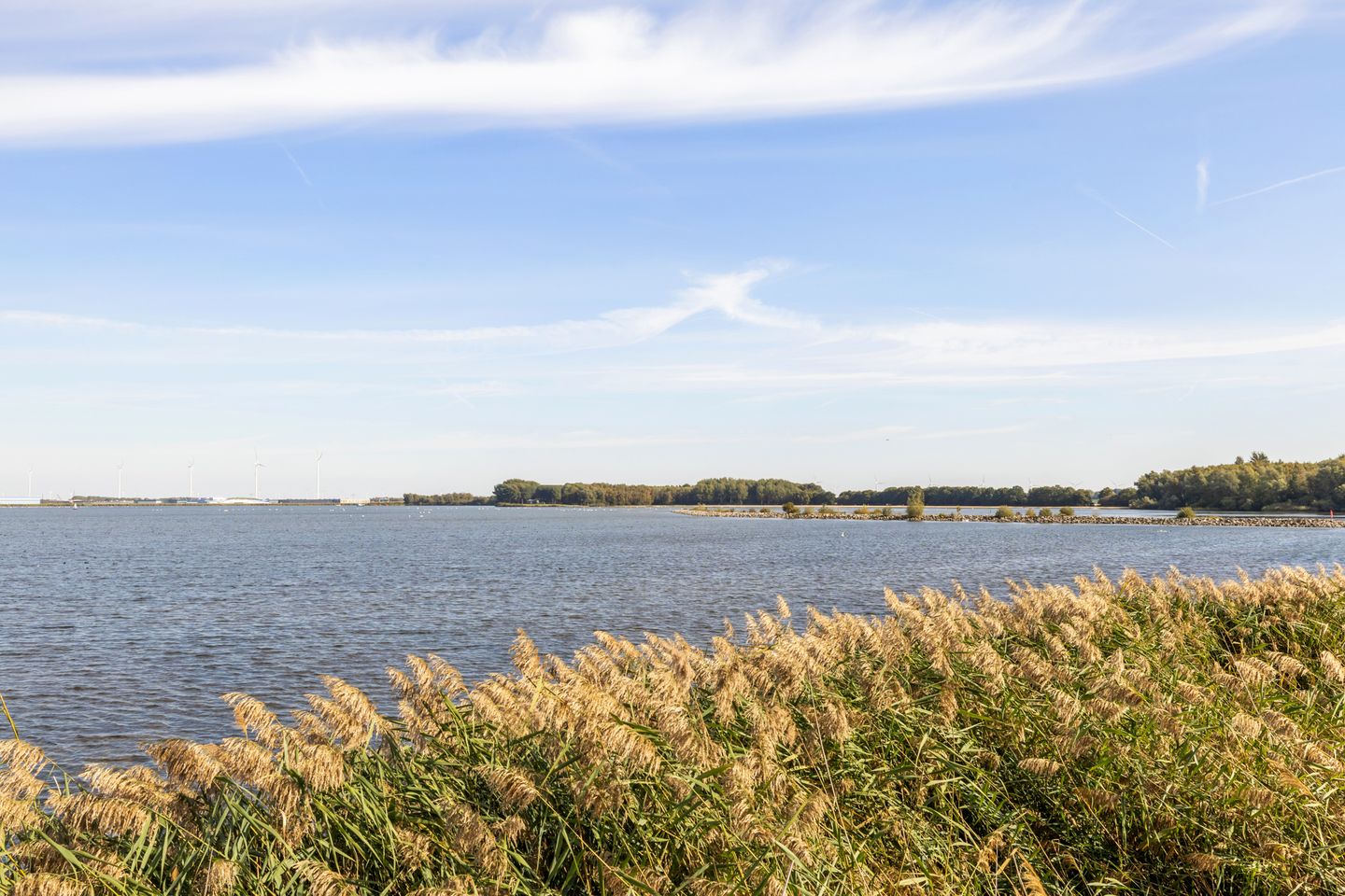 Photo 35 of Thomas Moresingel 11