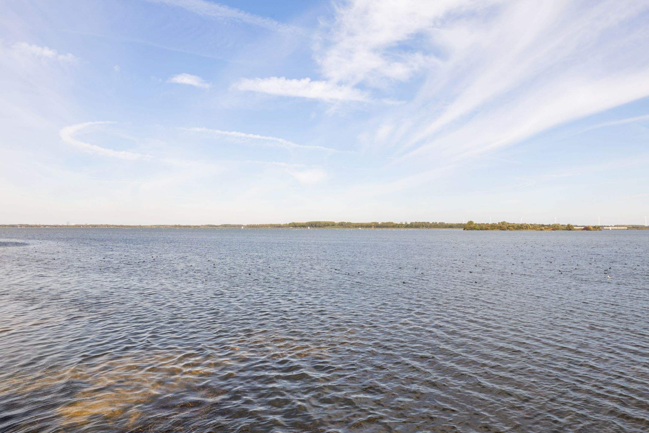 Photo 36 of Thomas Moresingel 11