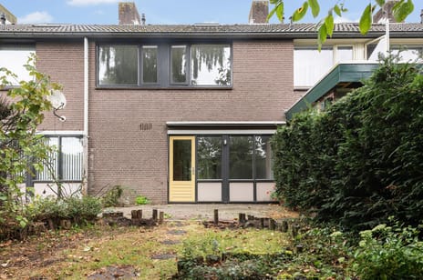 undefined main image