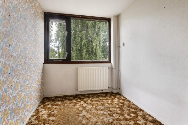 Foto 10 van Feerwerdpad 4