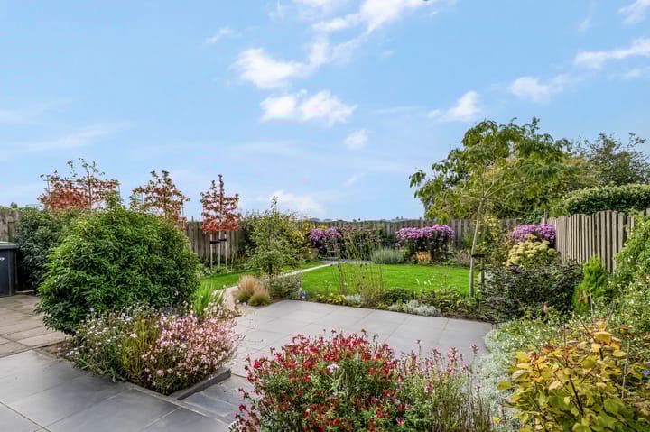 Foto 5 van Stekelbaars 56