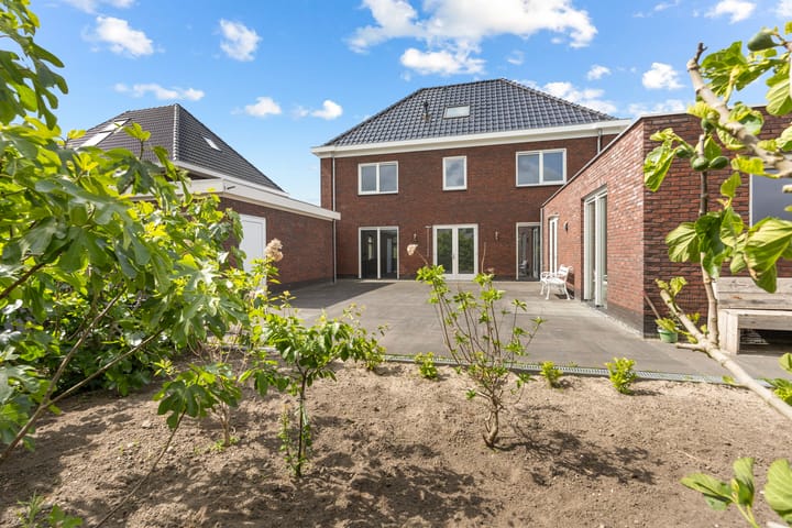 Foto 44 van Wolfspootstraat 10