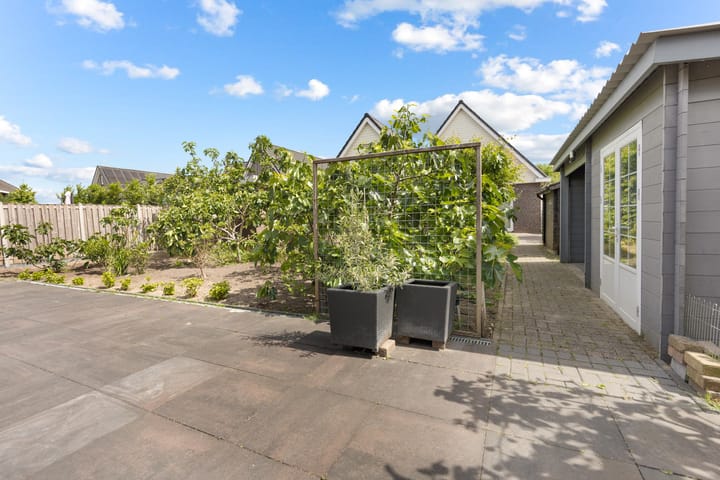 Foto 45 van Wolfspootstraat 10