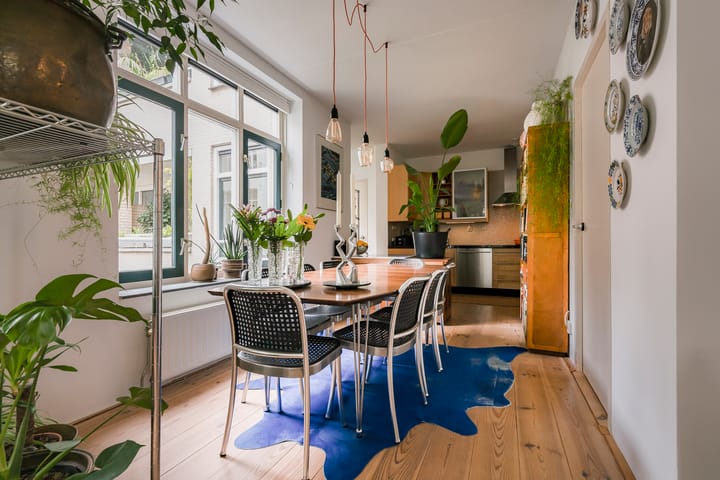 Foto 9 van Eerste Boerhaavestraat 8-B