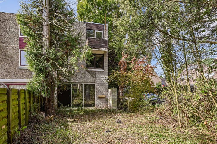 Foto 3 van Saffier 40