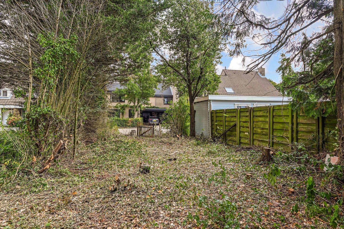 Foto 10 van Saffier 40