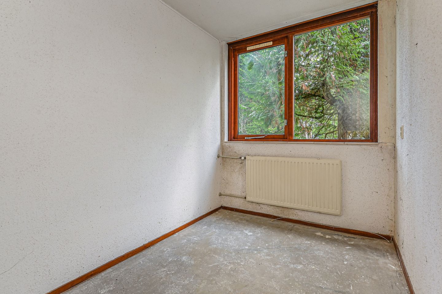 Foto 19 van Saffier 40