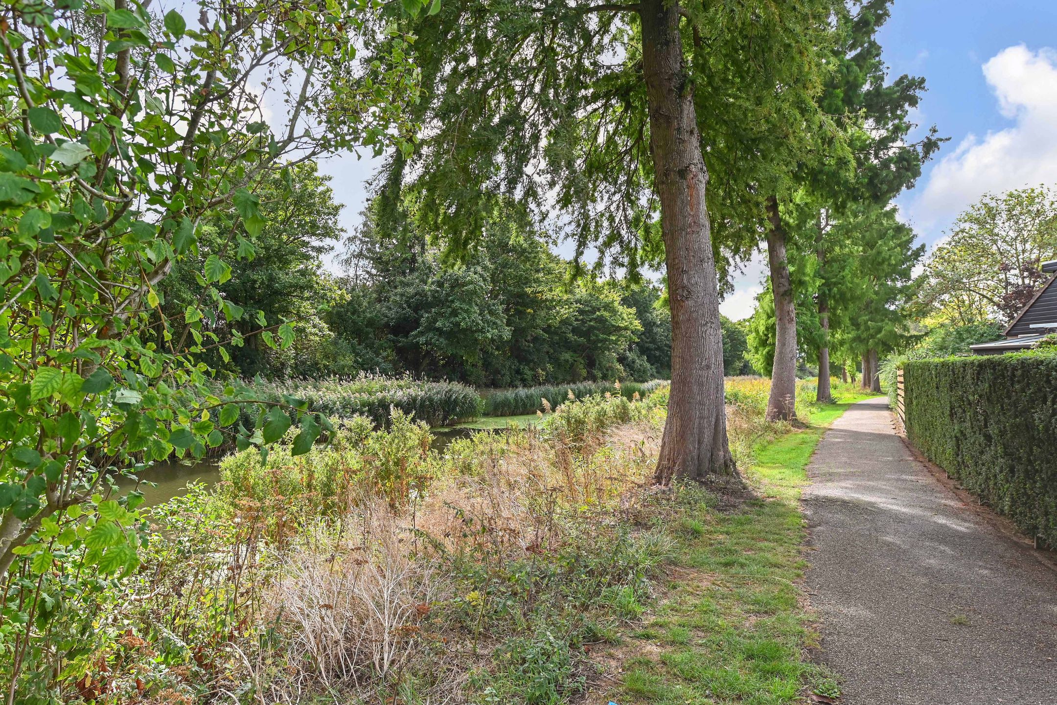 Foto 33 van Saffier 40