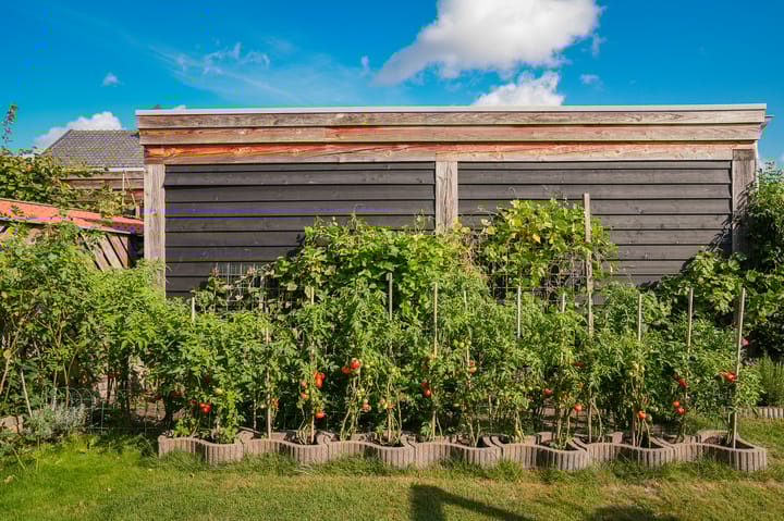 Photo 36 of Varkensmarkt 11