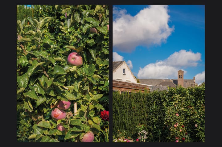 Photo 37 of Varkensmarkt 11