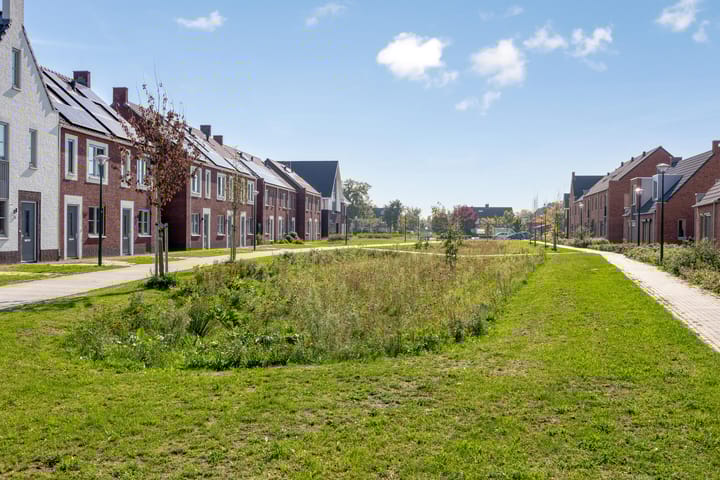 Photo 31 of Achterbolst 24