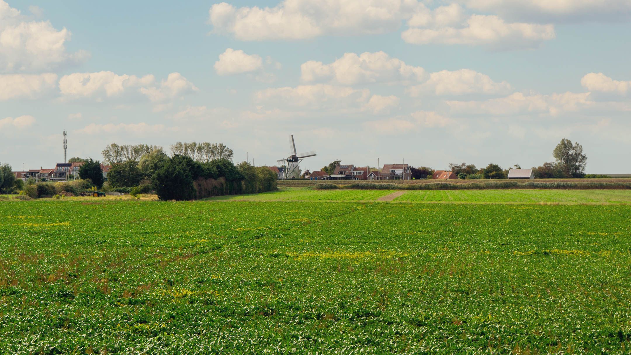Foto 45 van Buurtweg 99