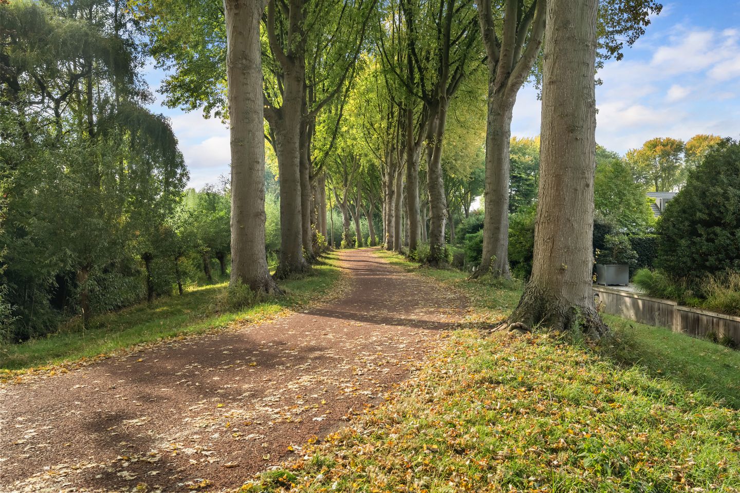 Foto 4 van Iepenlaan 104