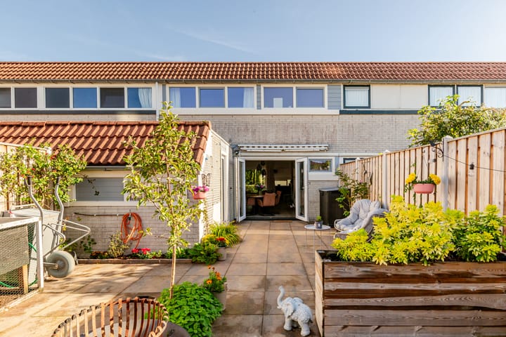 Foto 25 van Galjoen 29 17