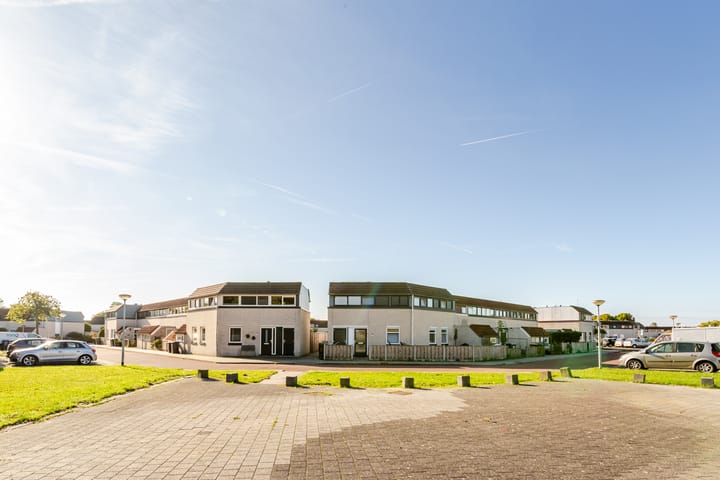 Foto 31 van Galjoen 29 17